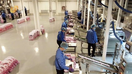 特絲麗化工 踐行環保理念，打造綠色護膚品制造新標桿